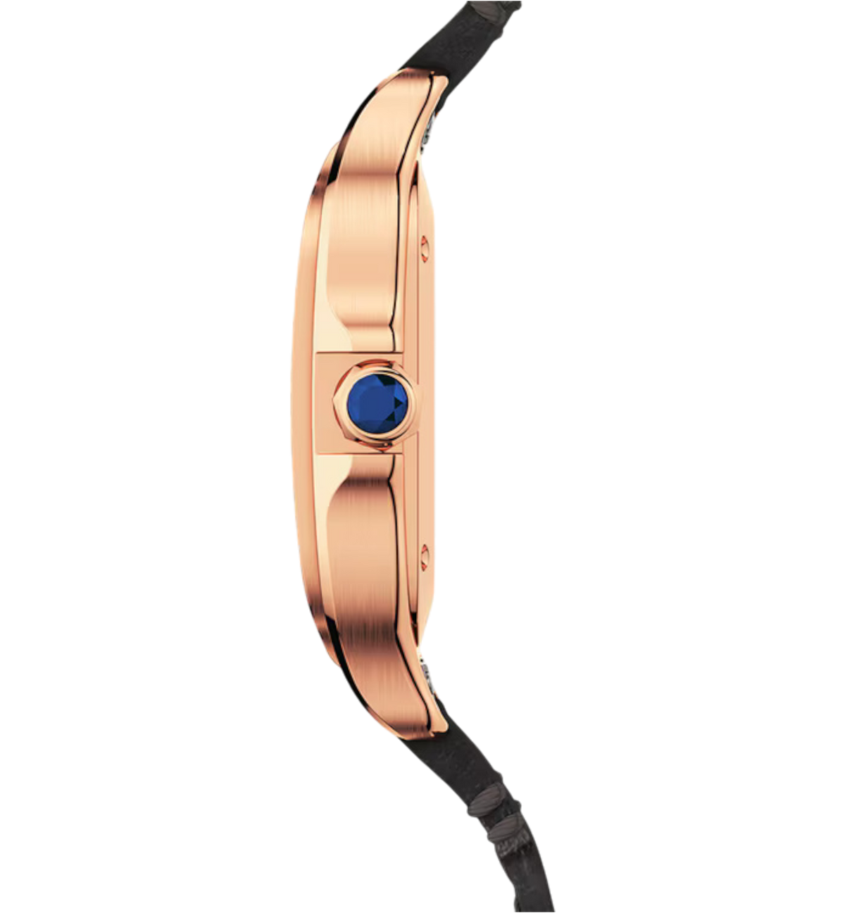 Santos de Cartier watch Ref. WGSA0028