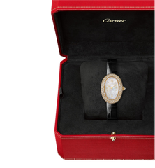 Baignoire watch Ref. WJBA0043