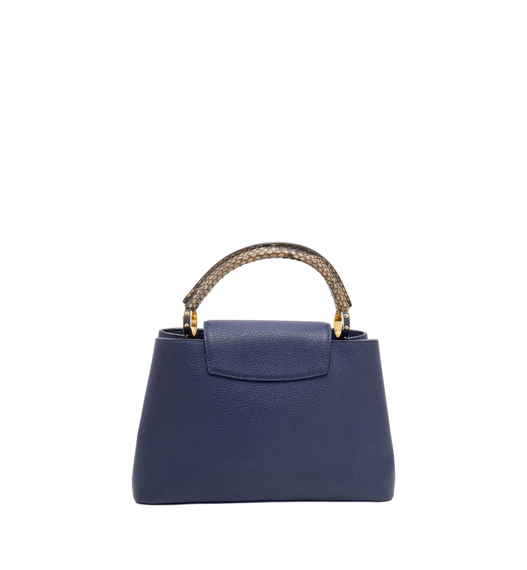 Louis Vuitton Blue Taurillon Leather and Python Capucines MM Bag