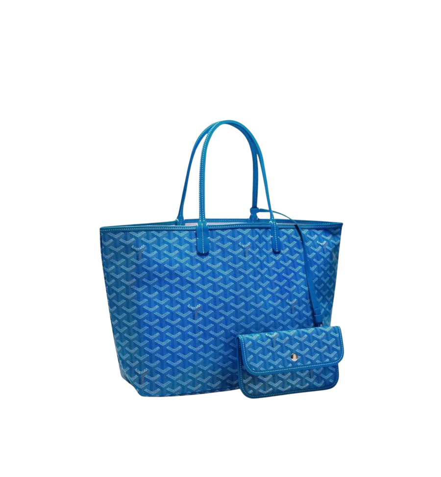 Goyard Saint Louis PM Bag Sky Blue